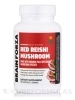 Organic Red Reishi Mushroom - 90 Capsules