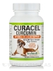 Curacel® Curcumin - 60 Softgels