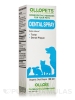 Dental Spray - 30 ml