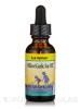 Willow / Garlic Ear Oil™ - 1 fl. oz (30 ml)