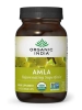 Amla - 90 Vegetarian Capsules