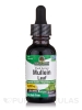 Mullein Leaf Extract (Alcohol-Free) - 1 fl. oz (30 ml)