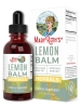 Lemon Balm