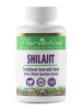 Shilajit - 60 Vegetarian Capsules