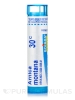 Arnica Montana 30c - 1 Tube (approx. 80 pellets)