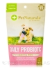 Daily Probiotic for Dogs (All Sizes) - 60 Chews