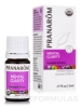 Wellness Blend - Organic Mental Clarity Essential Oil Blend - 0.17 fl. oz (5 ml) - Alternate View 1