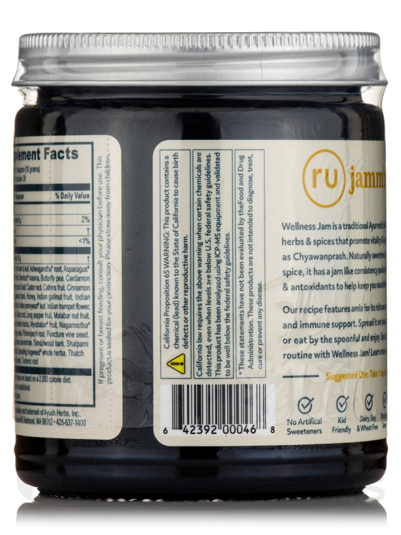 Wellness Jam™ - Immune Support + Healthy Aging - 10.6 oz (300 Grams) - Alternate View 2