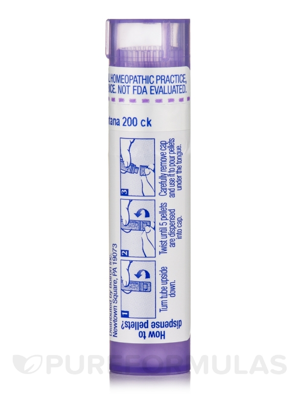 Arnica Montana 200ck - 1 Tube (approx. 80 pellets) - Alternate View 5