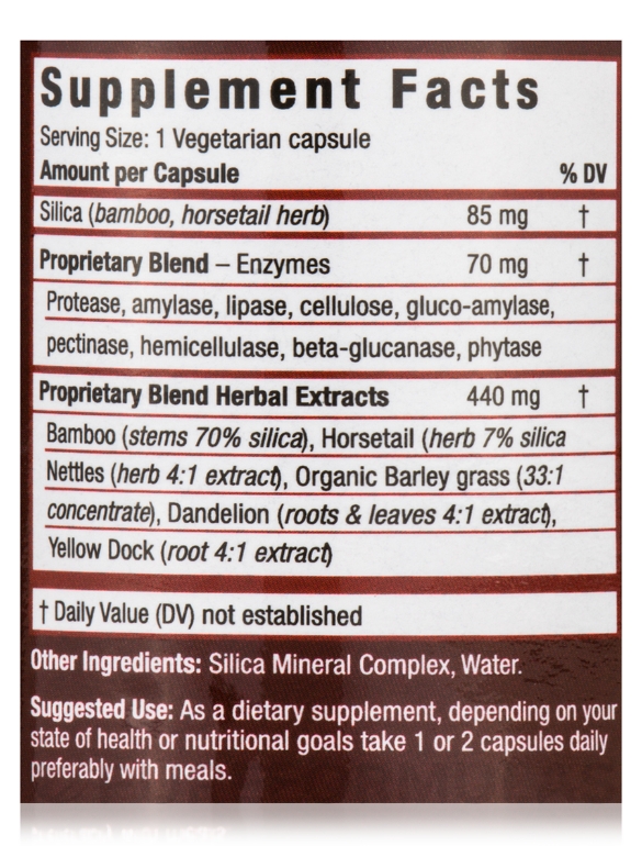 Super Silica Plus 500 mg - 60 Vegicaps - Alternate View 4