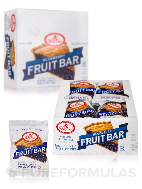 Blueberry Fruit Bar - Box of 12 Bars