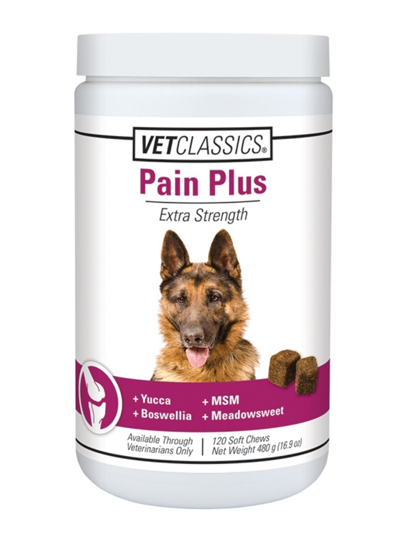 Pain Plus - Canine - 120 Soft Chews